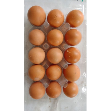 

Telur Ayam Negeri fresh