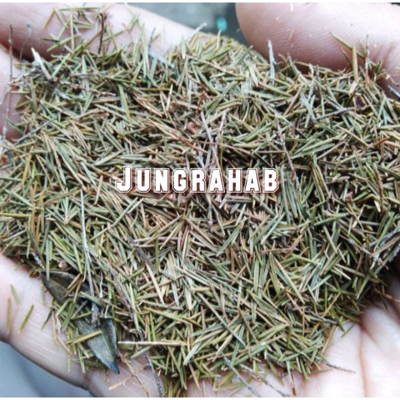 

Jungrahab 1kg / Jung rahab kering / Jungrahap