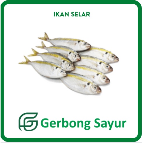 

Ikan Selar Segar - 1 Kg