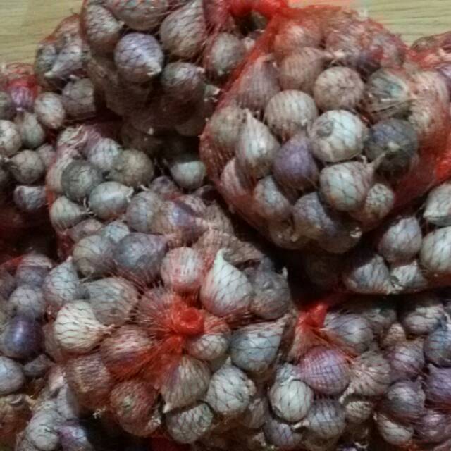 Bawang putih tunggal/Lanang ungu 1kg