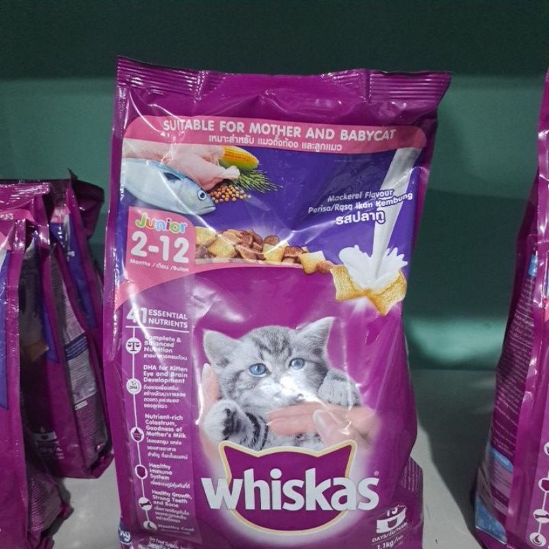 Jual Whiskas mackerel junior 212 bulan 1,1kg Shopee Indonesia