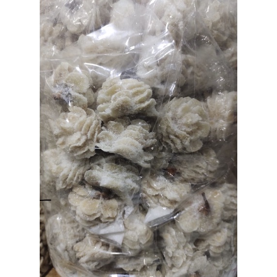 

pala putih 500gr