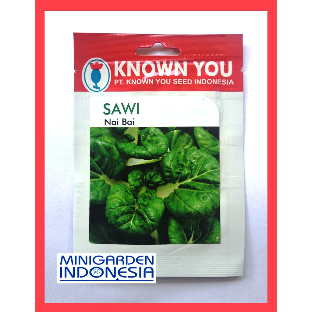 SAWI NAI BAI 590 BIJI PACK KECIL Benih Sawi Pak Choi pakchoy KNOWN YOU SEED Sayuran Hidroponik pakcoi pak coy pak coi