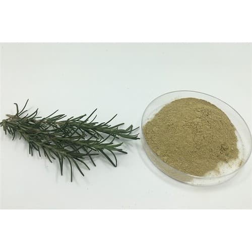 

Rosemary powder (bubuk Rosemary bumbu steak) kemasan 35gr