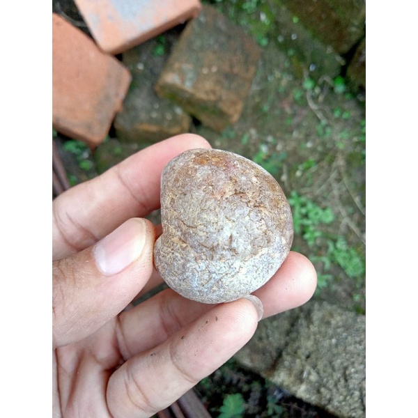 ✅ Batu Cimpago Biru Sulaiman Ujung Tanjung ( Rough / Bahan Batu Akik Natural asli Sumatera Barat - b