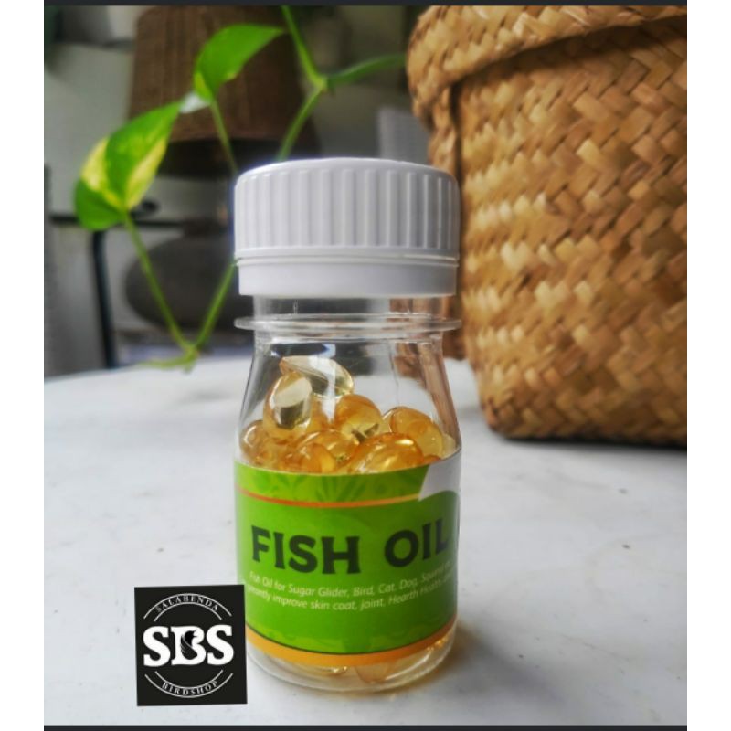 minyak ikan fish liver oil untuk burung
