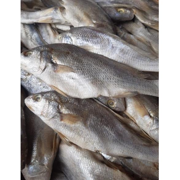 

Diskon NLI36 Ikan Asin Sileman 500 gr NLI