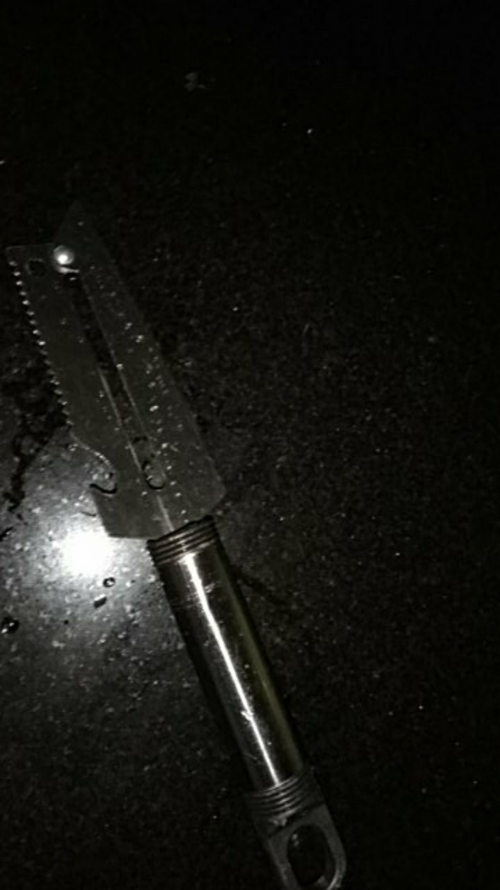 Pisau Buah Stainless Multi Fungsi