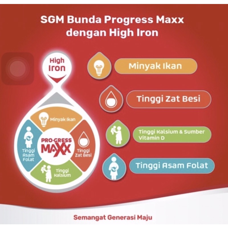 SGM bunda hamil &amp; menyusui 300 gram ( susu nutrisi lengkap ibu hamil )