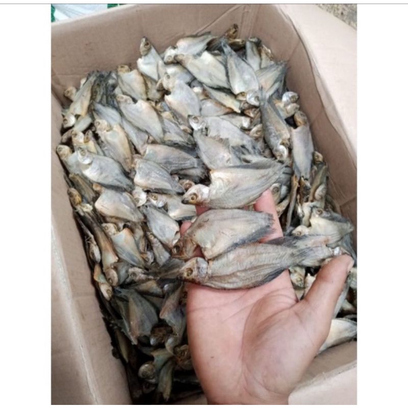 

Asin sepat kecil 1kg murah