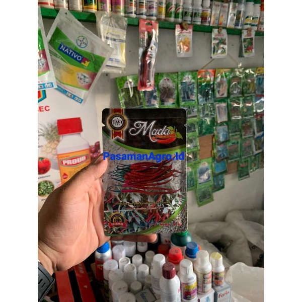 COD - Benih Cabe Mada 10 Gram -  CMK Mada 100% Asli Sumatera Barat