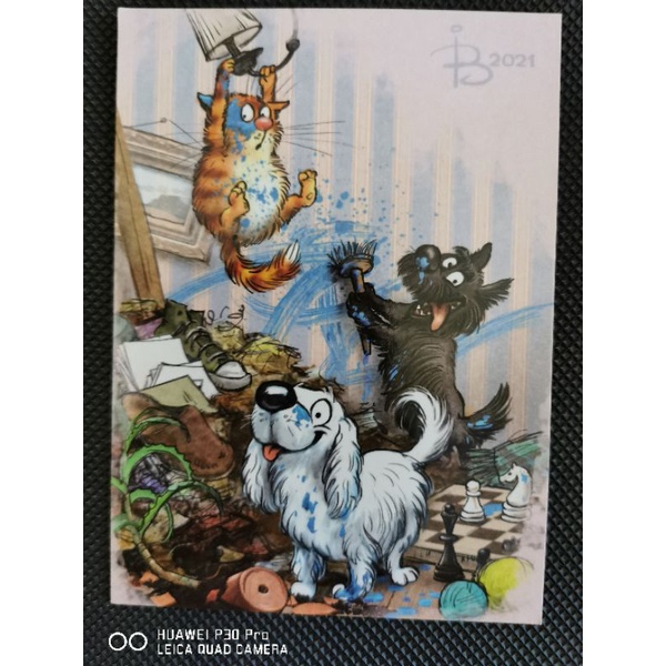 

kartu pos bluecat/bluecat postcard