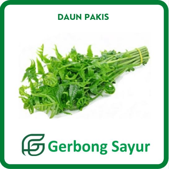 

Sayur Daun Pakis 1 Ikat - 100g