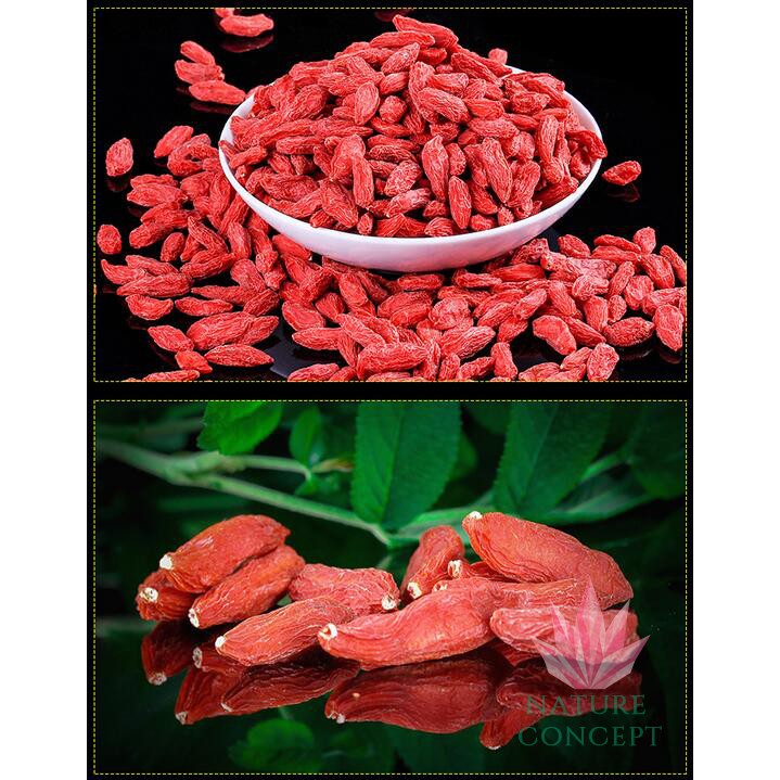 Goji Berry Kici Guo Qi Jiu Ji Wolf Berry kualitas Premium 500 grams