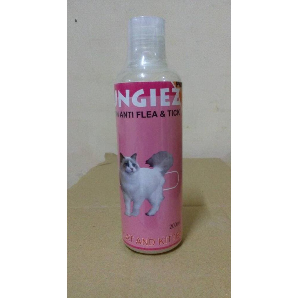 hillhaven leonbergers