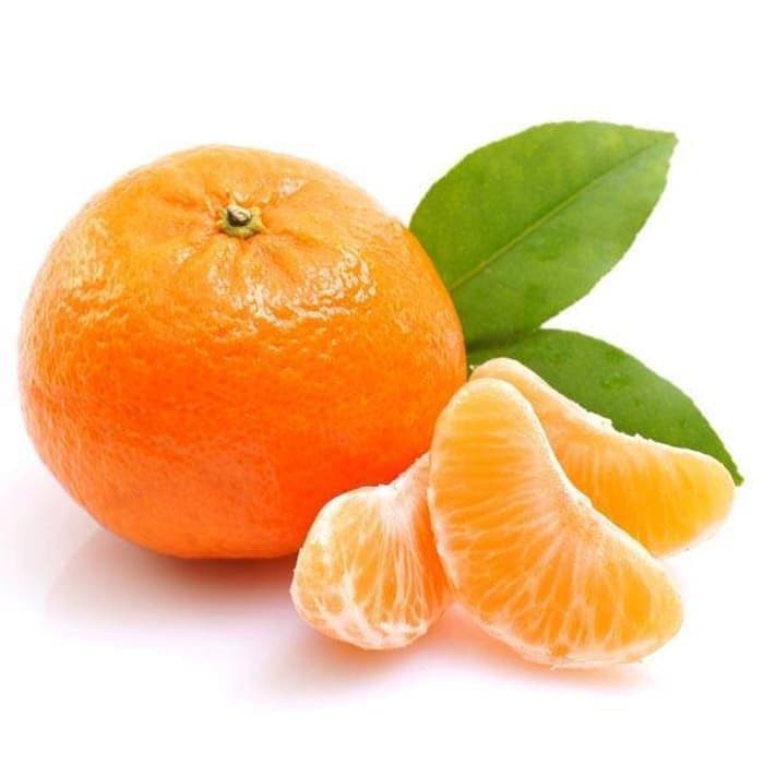 Bibit / Benih / Seeds Buah Jeruk Manis Mandarin[Bibit Berkualitas Unggul]