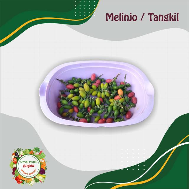

BUAH MELINJO MURAH / 250gr