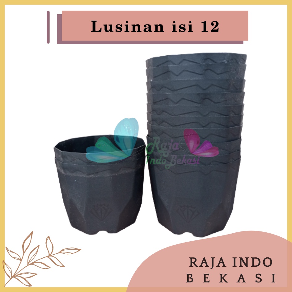 Lusinan Isi 12 Pcs Pot Permata 12 Hitam Diameter 10,5cm Pot Kaktus Mini Lucu Murah - Pot Tawon 10 12