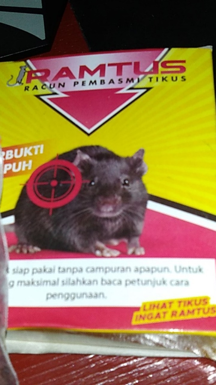 Ramtus Racun Tikus Got Curut Paling Ampuh Pembasmi Tikus Dirumah Racun Tikus Di Mesin Mobil 2 Pack