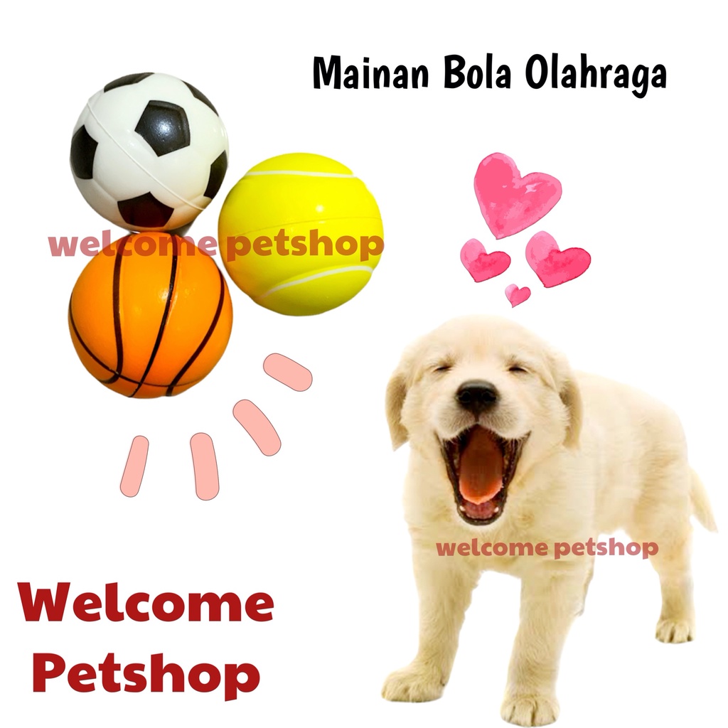 Mainan Bola Olahraga Untuk Hewan / Mainan Anjing / Mainan Kucing