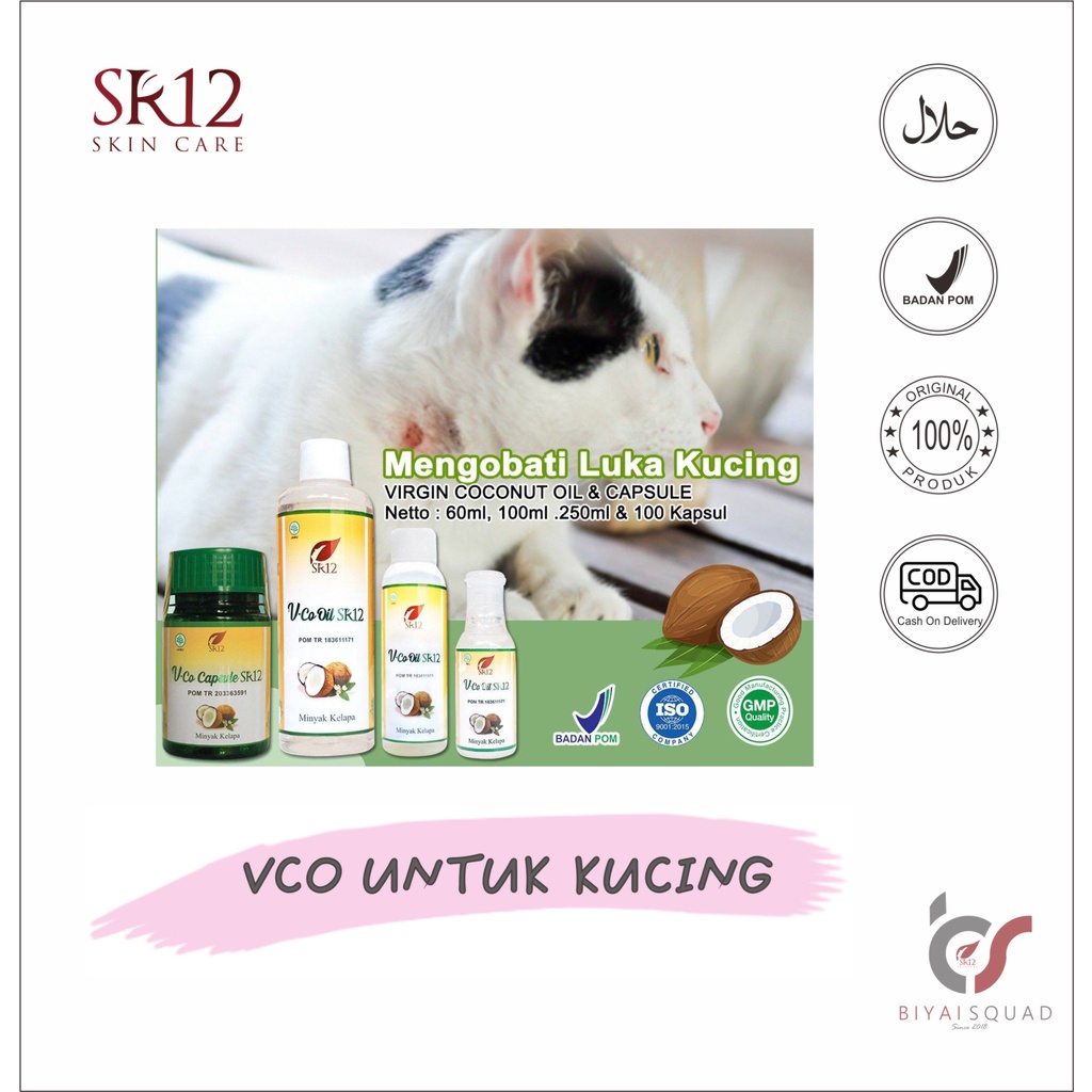 VCO SR12 menyembuhkan Luka Jamur Kucing Hewan Peliharaan Menyembuhkan Luka Melebatkan Penghalus Bulu