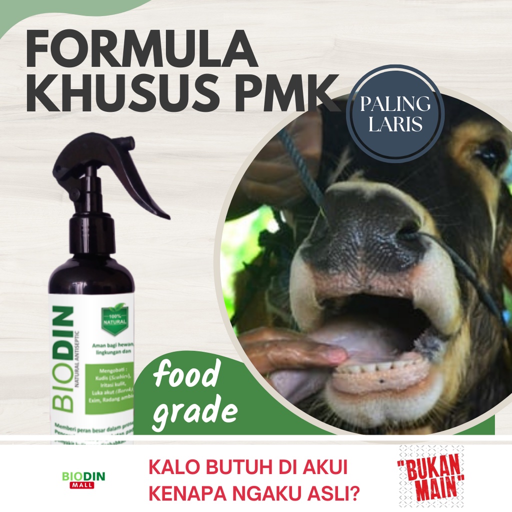 BIODIN FORMULA KHUSUS OBAT PMK SAPI MULUT DAN KUKU 250ML