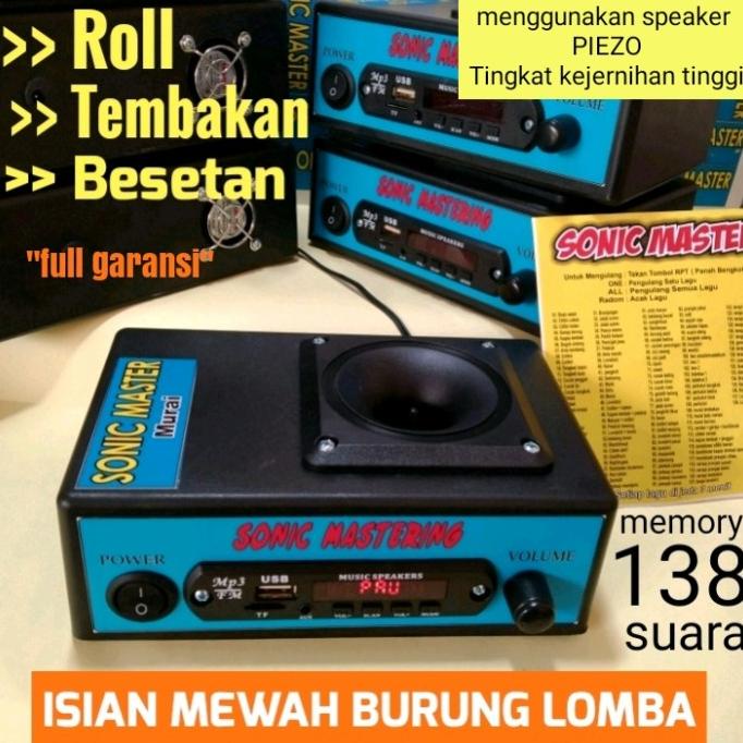 Masteran burung murai