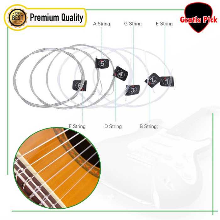 Senar Gitar Nilon Daddario EJ27N Nylon Pro Arte Clear Nylon