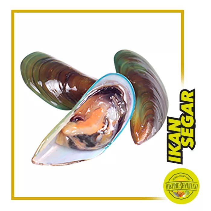 

Kerang Hijau Utuh - 1 kg