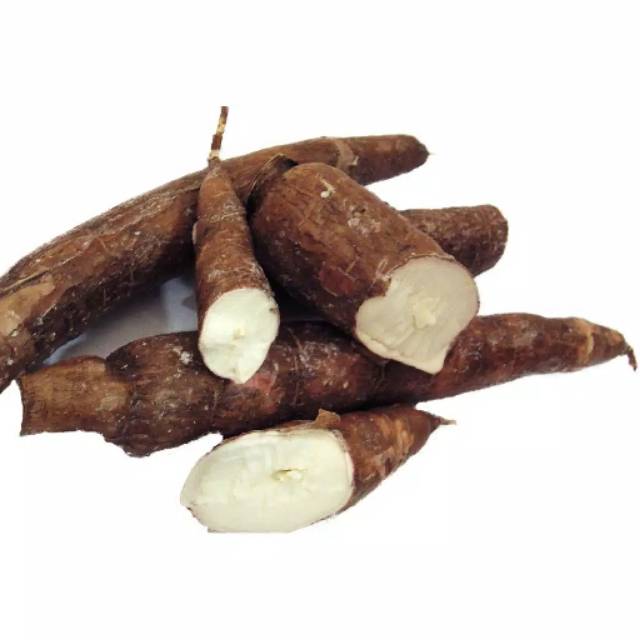 

SINGKONG1 KG