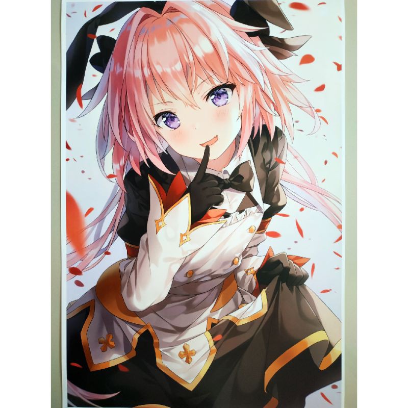 Poster Anime Game Fate stay night 9 Astolfo Fate Grand Order Merchandise