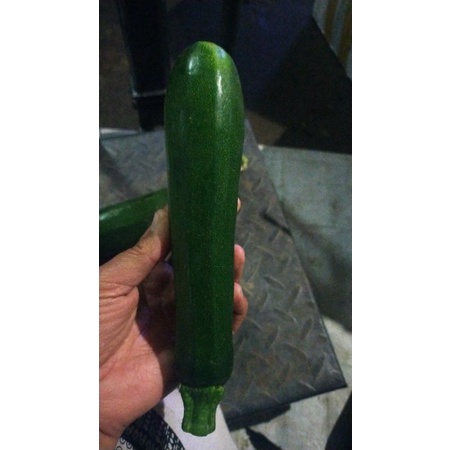 

zucchini