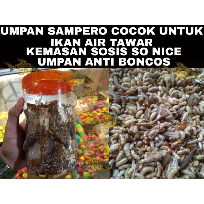 UMPAN SAMPERO BERGARANSI COCOK UNTUK MANCING IKAN AIR TAWAR