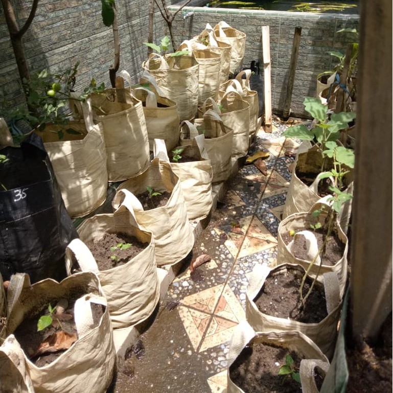Planter Bag Planterbag Ukuran 25 Liter 30 X 30 Cm Pot Bunga Polybag Bibit Media Tanam Tabulampot
