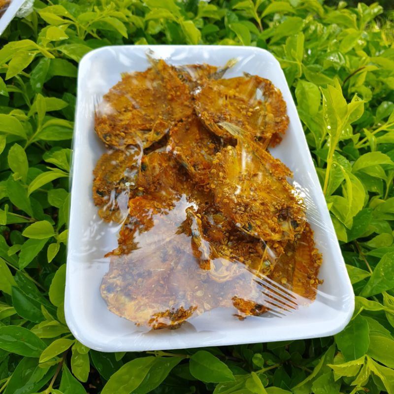 

ikan dendeng