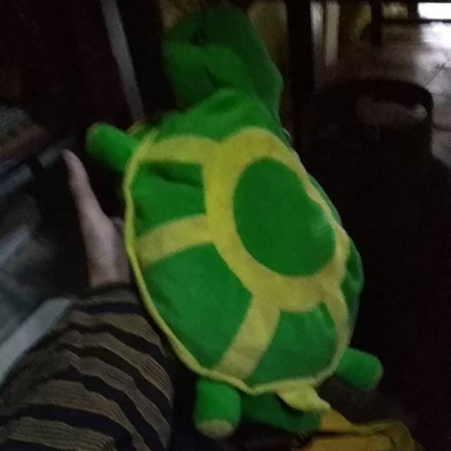 Tas kura-kura unyu