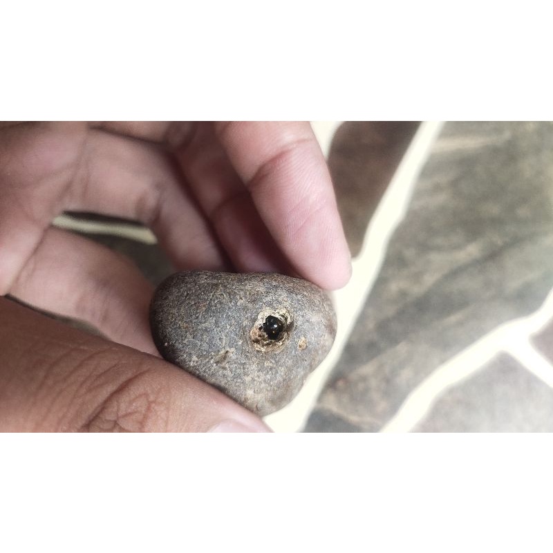 batu mustika tapa sir alam asli temuan sepuh antik pusaka pamor langka jadul kuno