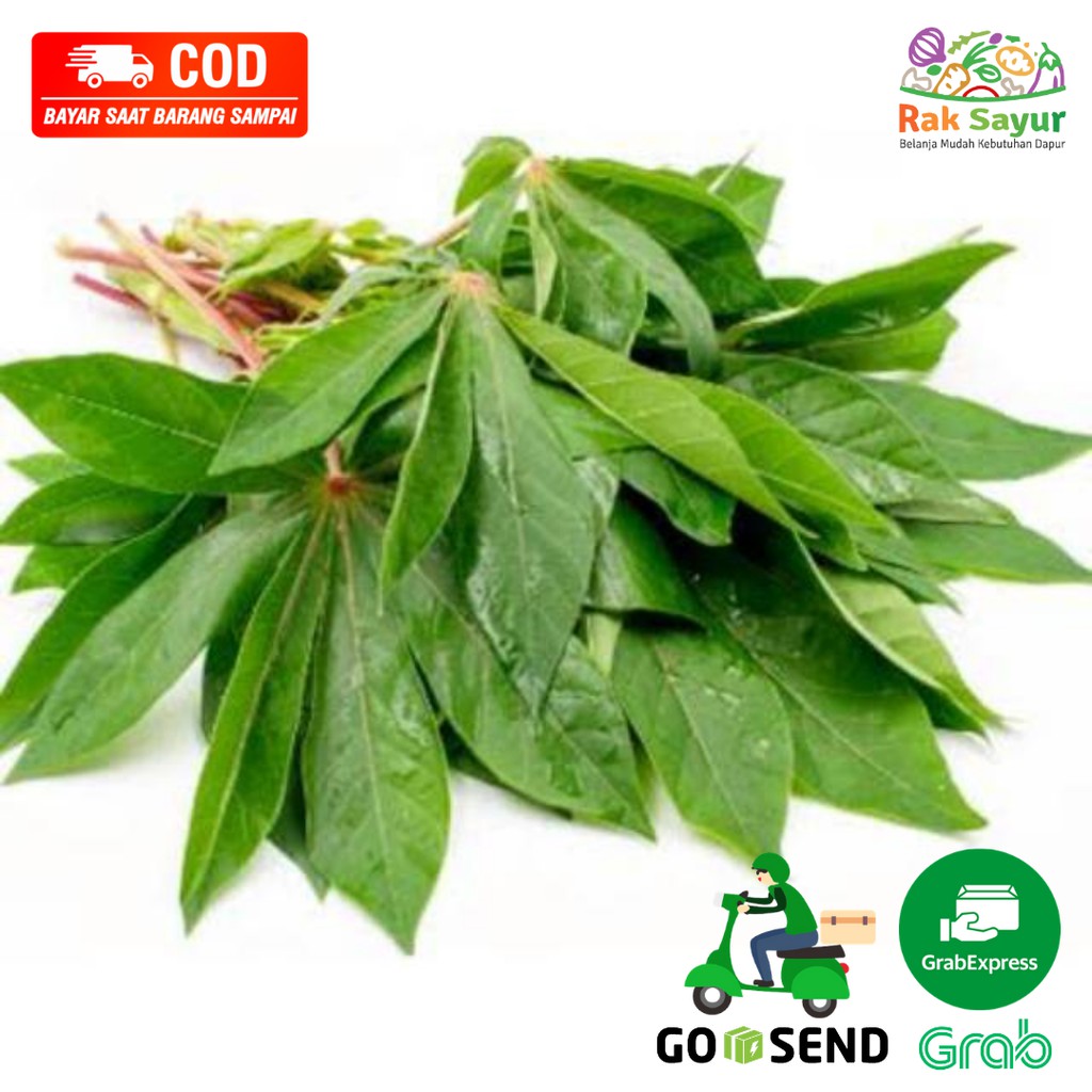 

Daun Singkong Fresh per Ikat Murah Sayuran Segar Rak Sayur Padang