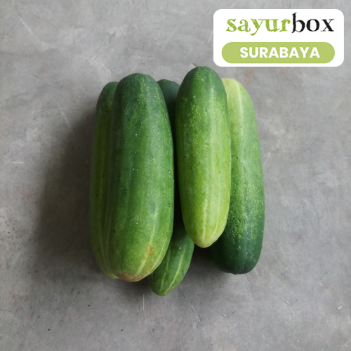 

Timun Baby Conventional 1 kg (Sayurbox) - SURABAYA