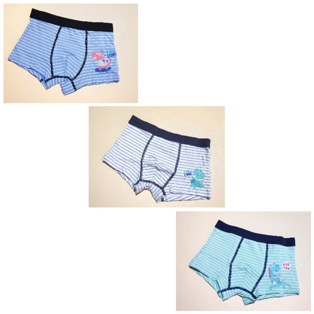Boxer anak motif dinosaurus (dijual satuan) | DUO KRUCILS