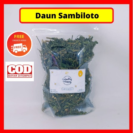 

Daun Sambiloto(sambiroto) Kering