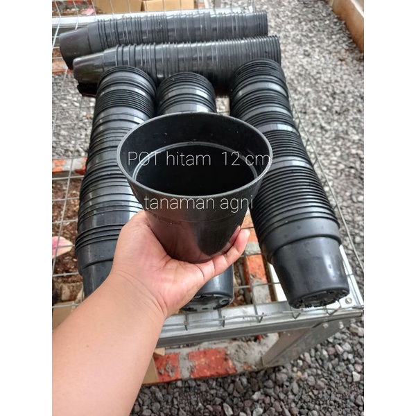 Pot hitam uk 12cm bekas (Harga 1 lusin = 12pot)
