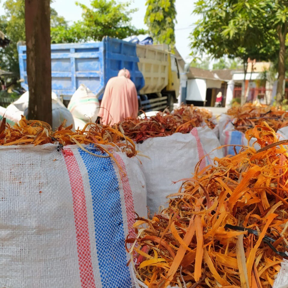 

Secang Serut 1 kg Dari Bumi | Secang Serut Premium Original