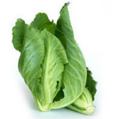 

Baby Kailan Sayur Baby Kailan