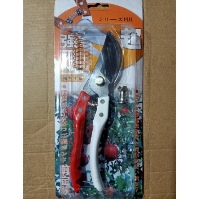 

Gunting Bunga Import