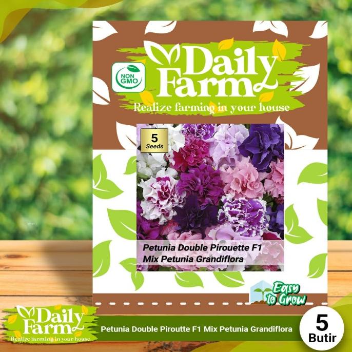 Benih Bunga Petunia Double Pirouette Mix F1 Mix - Daily Farm