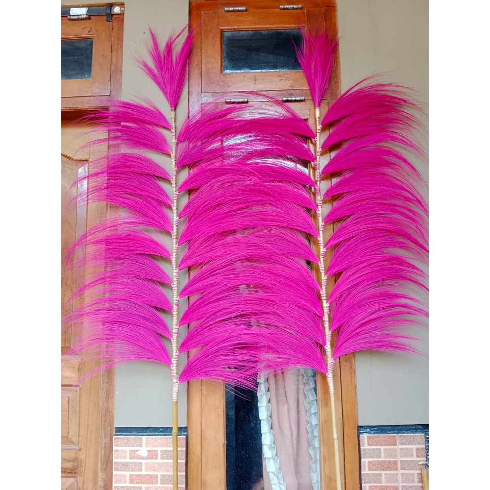 HOME DECOR Rayung/Dekorasi Pampas Rayung Panjang