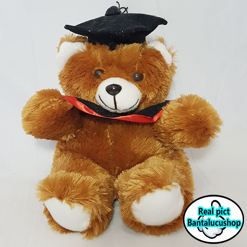 Boneka Teddy Bear Wisuda Boneka Wisuda Bucket Bahan Bulu 35CM