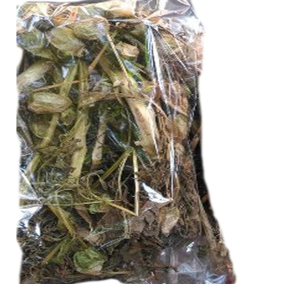

Ready.. Daun Ciplukan Kering 1 kg 84