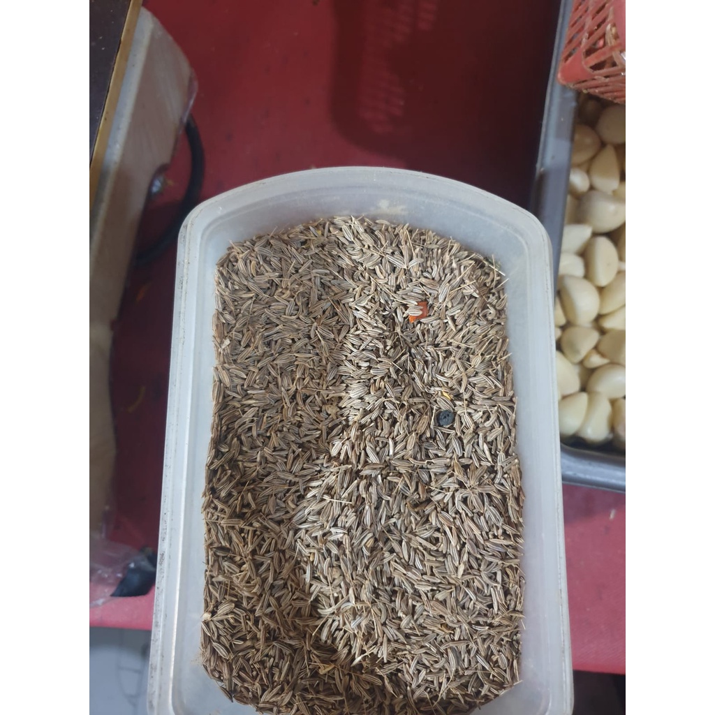 

Rempah Bumbu Jintan 50gr